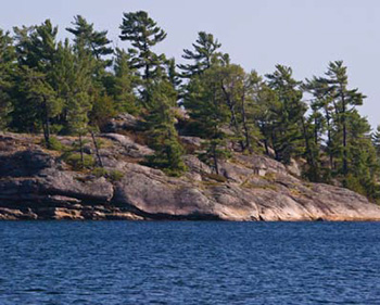 A colour photo of part of the Ontario Sheild in Parry Sound.