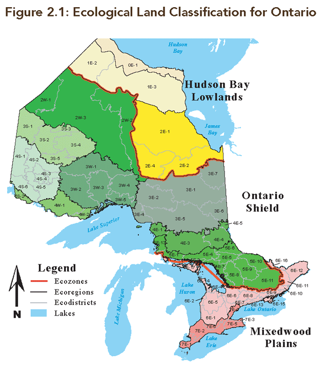 A map illustrating Ontario’s Ecological land classifications, showing ecozones, ecoregions,and ecodistricts.