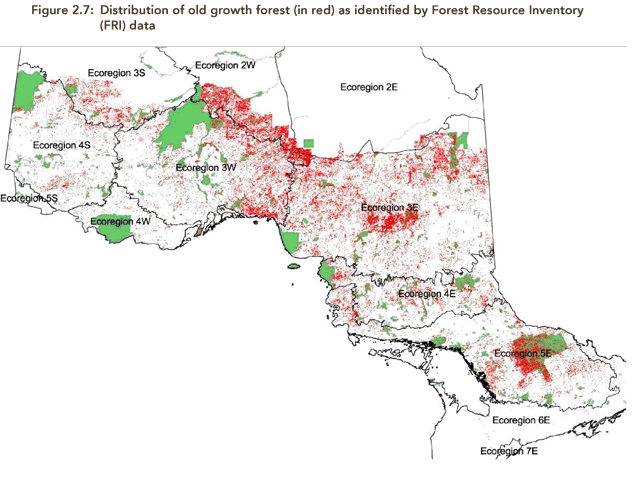 A map illustrating distribution of old growth forest as identified by Forest Resource Inventory data. 