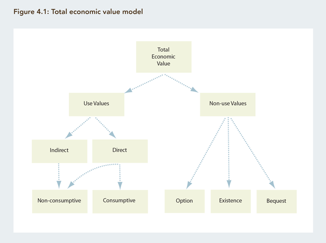 A graphic illustrating the total economic value model