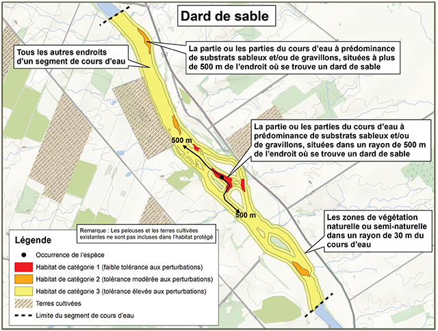 Exemple d’application du règlement sur l’habitat pour le dard de sable