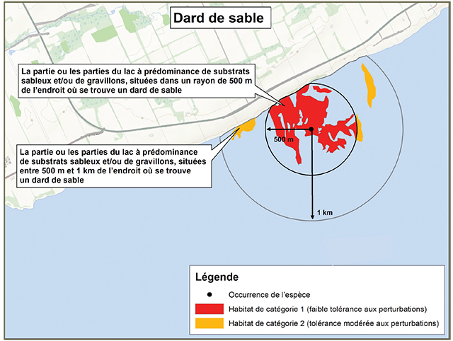 Exemple d’application du règlement sur l’habitat pour le dard de sable