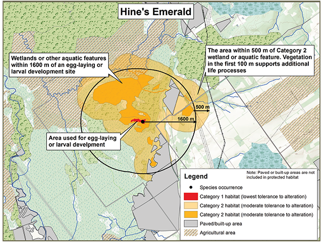 Figure 1: Sample application of the habitat regulation for Hine’s Emerald in watercourses showing category 1, 2 and 3 habitats and species occurences.
