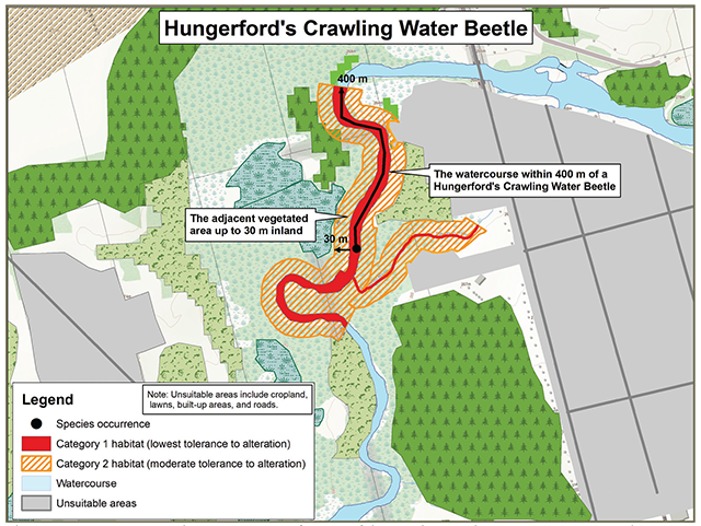 Sample application of the habitat regulation for Hungerford’s Crawling Water Beetle in watercourses showing category 1 and 2 habitats and species occurences.