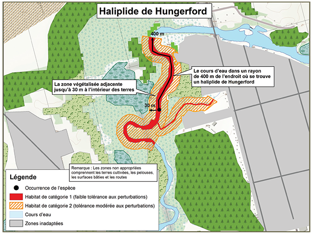 Exemple d’application du règlement sur l’habitat de l’haliplide de Hungerford dans les cours d’eau présentant des habitats de catégorie 1 et 2 et des occurrences d’espèces.