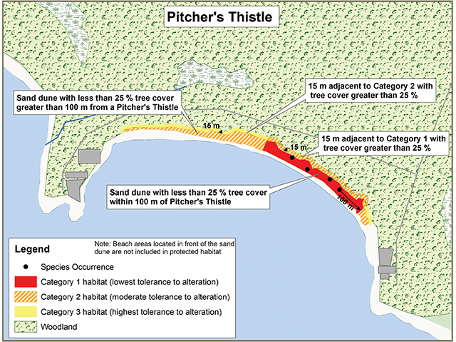 Sample application of the habitat regulation for Pitcher’s Thistle showing category 1, 2 and 3 habitats and species occurences.