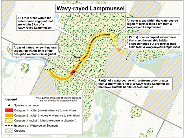 Figure 1: Sample application of the habitat regulation for Wavy-rayed Lampmussel in watercourses