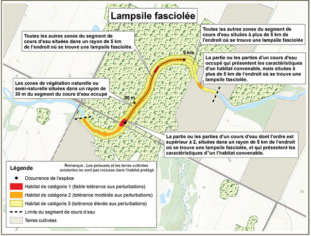 Exemple d’application du règlement sur l’habitat