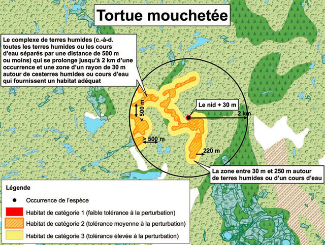 Carte qui montre un exemple d’application de la protection de l’habitat general de la tortue mouchetée
