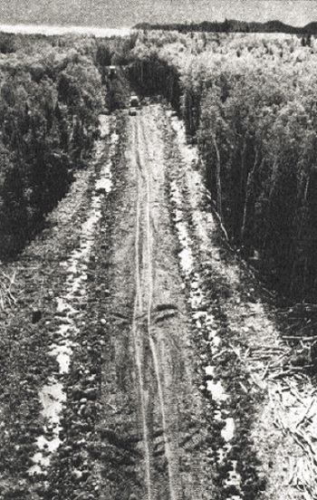 Black and white photo of a ditch on a road.