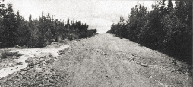 Black and white photo showing erosion of an abandoned road.