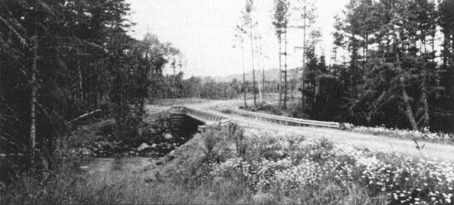 Black and white photo of a road with vegetation on either side.
