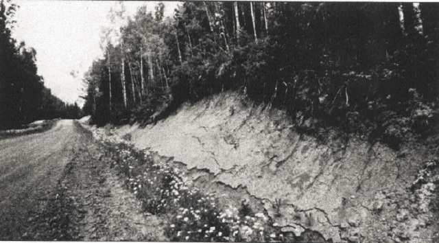 Black and white photo of a graded slope.
