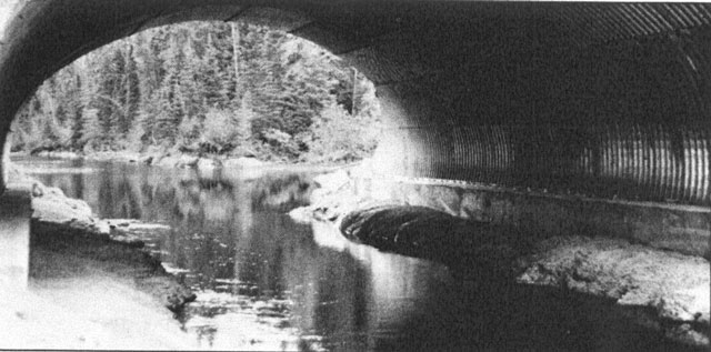 Black and white photo of an arched culvert.