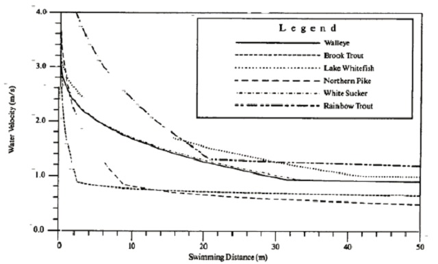 Figure depicting maximum flow velocity for the following Ontario fish species: walleye, brook trout, lake whitefish, Northern pike, white sucker and rainbow trout. The horizontal axis shows swimming distance in metres and the vertical axis shows water velocity in meters per second.