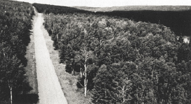 Black and white photo of a smooth, straight road with vegetation on either side.