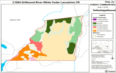 Map showing the various Forest Communities inside of Driftwood River White Cedar Lacustrine Conservation Reserve