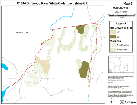 Map showing Old Growth standard forest units inside of Driftwood River White Cedar Lacustrine Conservation Reserve