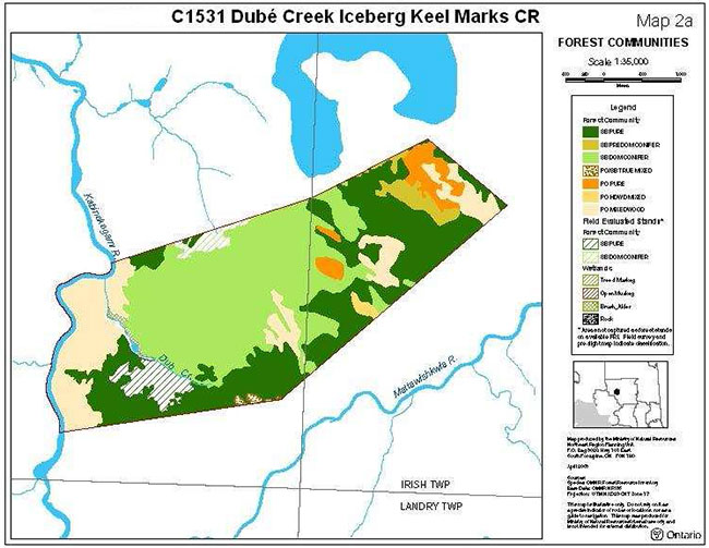 This map shows the forest communities for dube creek iceberg keel marks conservation reserve.