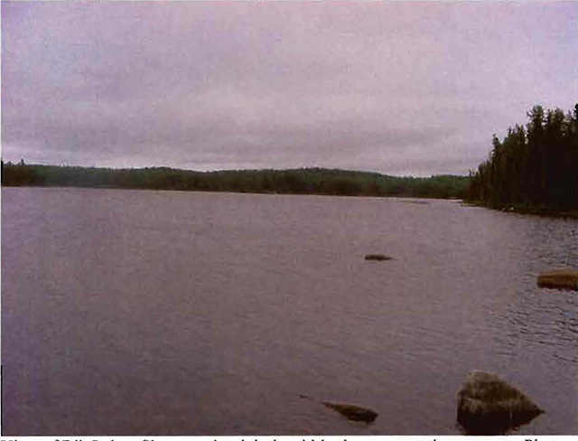 colour photo of Rib Lake with shore on the right within the conservation reserve.