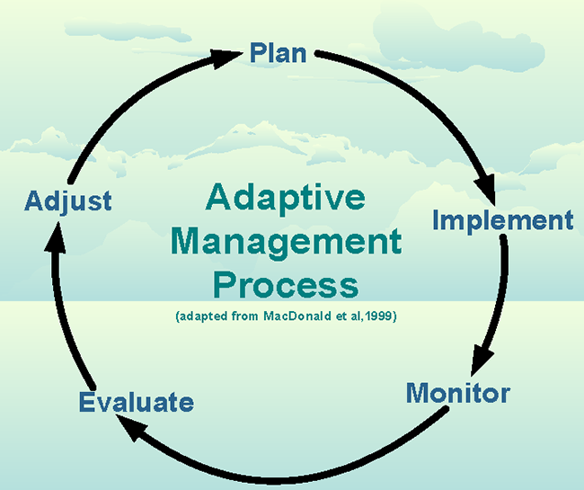 Adaptive management process chart