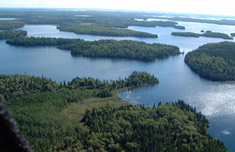 This is photo 3 depicting treed and open peatlands are found along shorelines on some islands.