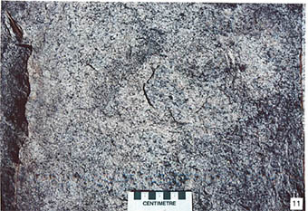 This is a photo of coarse, pink biotite granodiorite of the Atikwa batholith, Rice Bay.