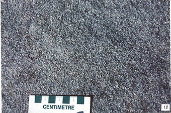 This is a photo of medium grained, grey, biotite tonalite of the Atikwa batholith, Osborne Bay.