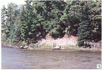 This is a photo of silty clay bank on island in Froghead Bay.