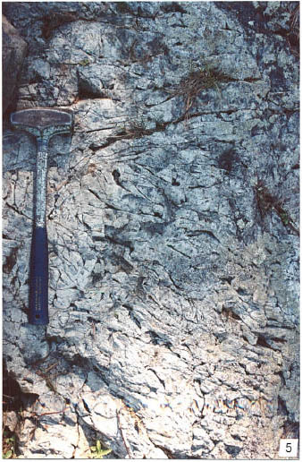 This photo shows dacitic to rhyolitic flow rock of the Lower Wabigoon Note fracture pattern typical of felsic flow units.