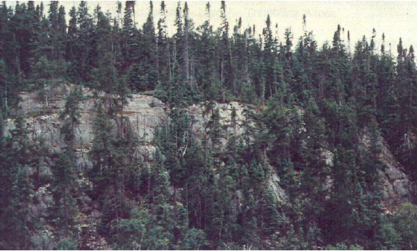 North Facing plateau cliffs located within the conservation reserve