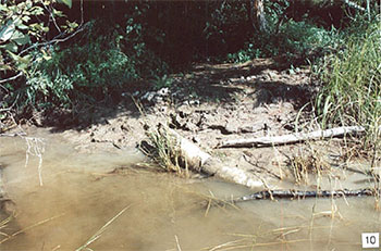 Clay bank erosion on the Wabigoon River downstream of the bridge on the Snake Bay road.