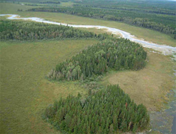 Wabigoon River, peatlands and jack pine forests in eastern part of reserve.