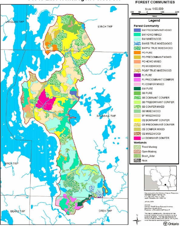 Image showing the East Wenebegon Forest Conservation Reserve Vegetation Map