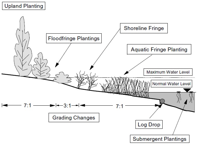 A diagram of a shoreline shows grading changes, normal and maximum water levels and different types of vegetation.