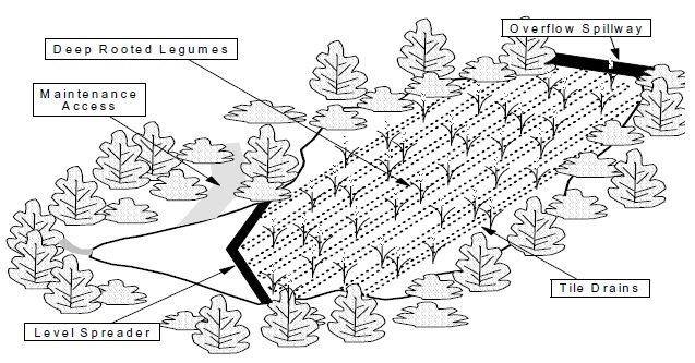 A diagram shows an infiltration basin with tile drains and vegetation.