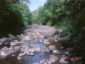 Photo of Upper Echo River, looking north..