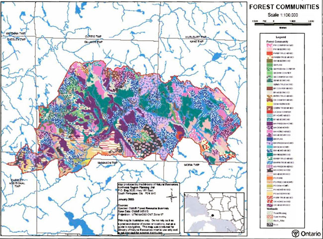 Map of Echo River Hardwoods Conservation Reserve Tree Species Composition