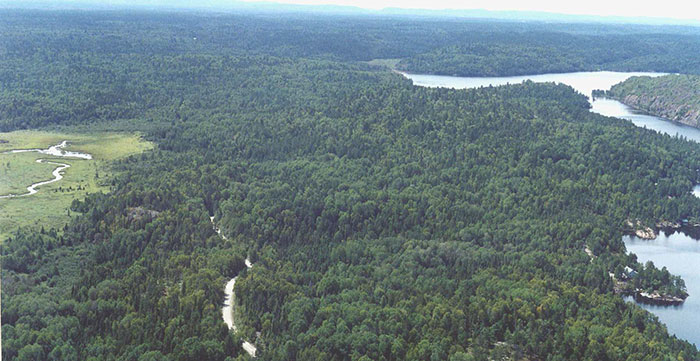 Photo of Aerial view of Eden Township Forest: northeast boundary towards the southwest, showing the road going through the site and private cottages along Long Lake.