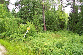 Photo shows Access trail (left) joins recreation trail (Broder Dill Snowmobile Trail #4).