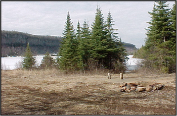 Photo showing a campsite in Fallingsnow Lake conservation reserve
