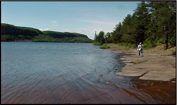 Photo of the north shoreline in Fallingsnow Lake conservation reserve