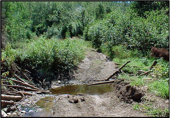 Photo showing a road wash out at old road crossing in Fallingsnow Lake conservation reserve