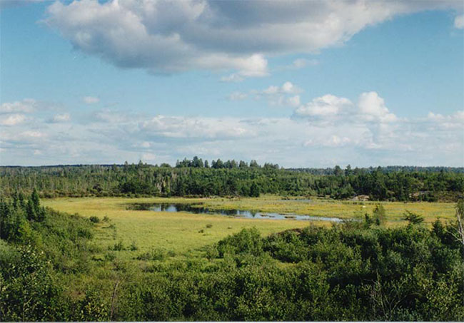 Small marsh seen from Highway #11 looking south, Farrington Township Conservation Reserve