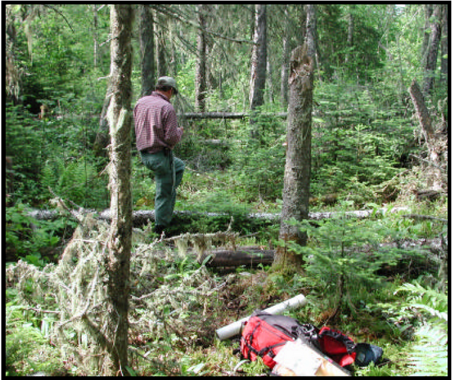 Figure 8: Representative understory vegetation of the conservation reserve. Photograph by Charles Faust.