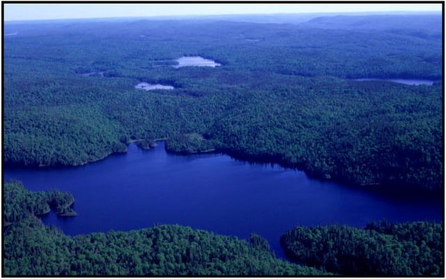 Fishnet Lake (foreground). Numerous smaller lakes are visible in the background of the photograph. Photograph by Allan Harris.