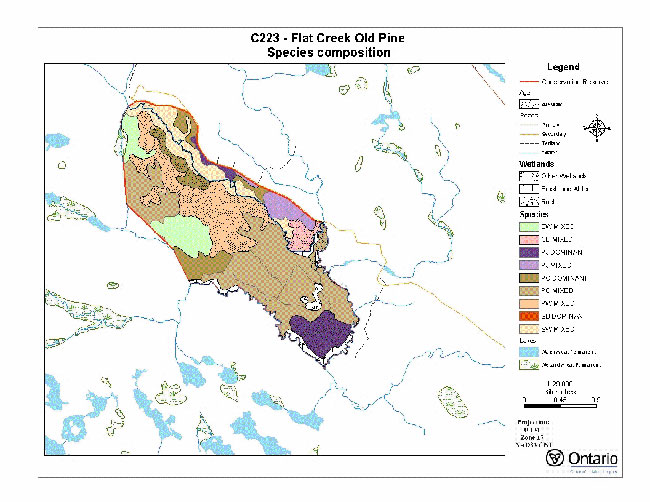 This photo shows the map of flat creek old pine species composition.