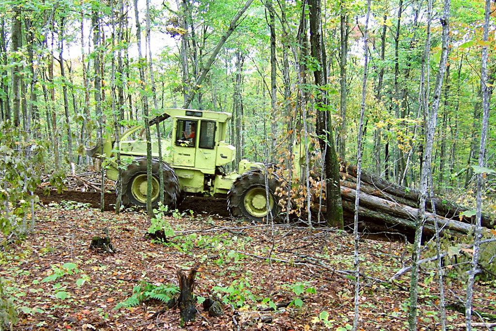 Protecting forest soils