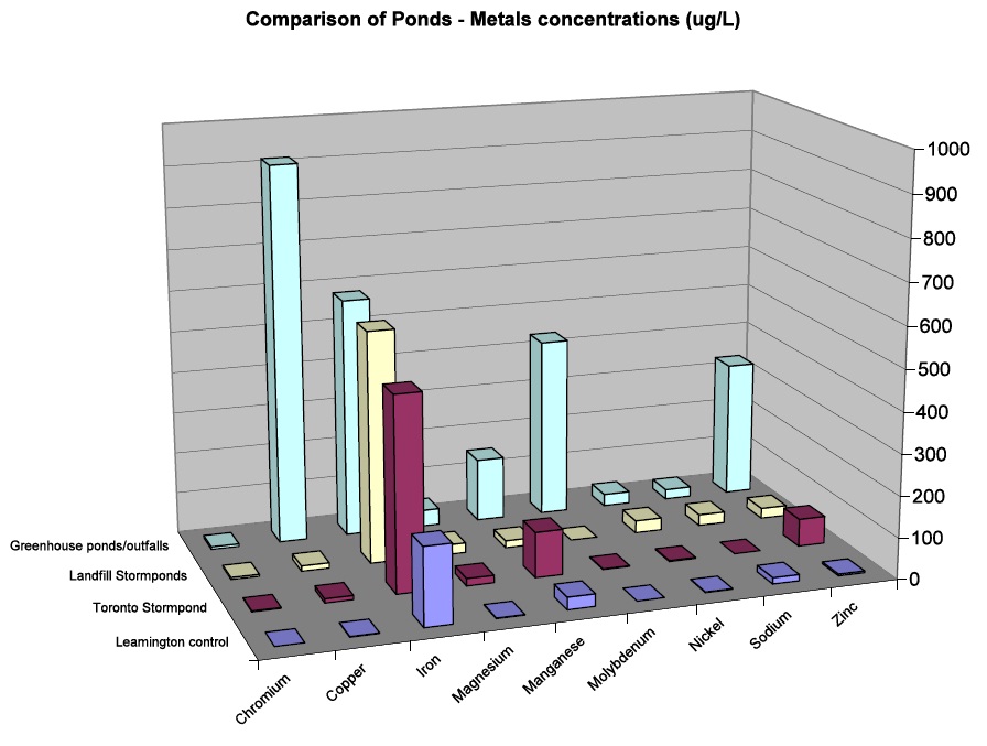 Metal concentrations in the Greenhouse ponds/outfalls was greater for Copper, Manganese, Molybdenum, and Zinc, than in landfill and Toronto stormponds, and the Leamington control pond. All ponds showed elevated iron levels. 