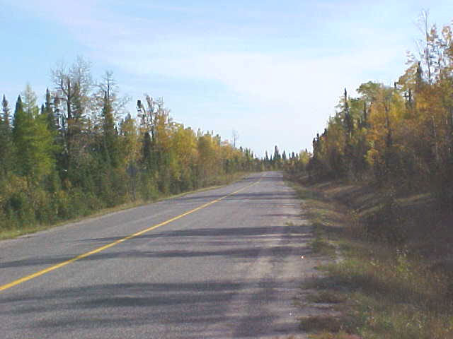 this photo taken by Jennifer Telford in 2004 shows highway 634 among the trees.